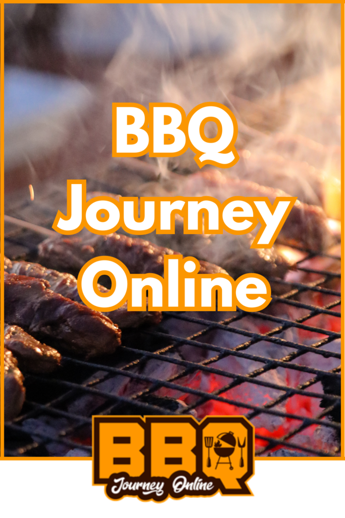 Embark on a sizzling BBQ journey online.