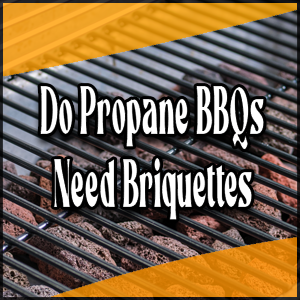 Are briquettes necessary for propane BBQs?