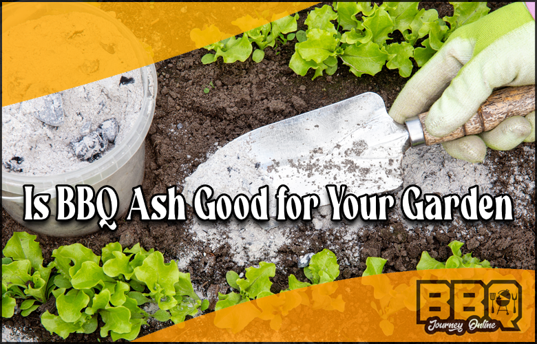 Is BBQ Ash Good for Your Garden?