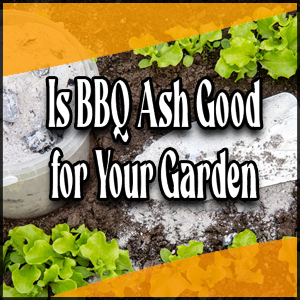 Is BBQ Ash Good for Your Garden?