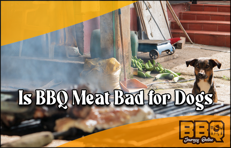 Is BBQ Meat Bad for Dogs?